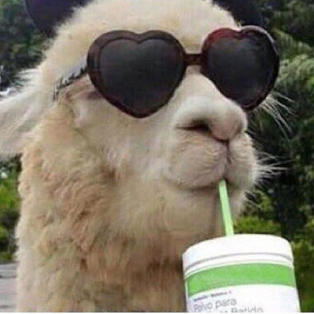 Meet your Posher, Kristen